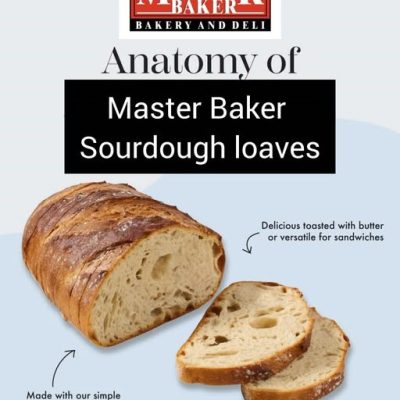 Figuresourdough anatomy